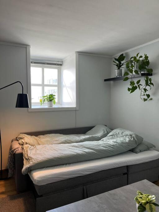 Cozy Ground Floor Apartment Tromsø Dış mekan fotoğraf