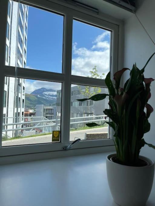 Cozy Ground Floor Apartment Tromsø Dış mekan fotoğraf