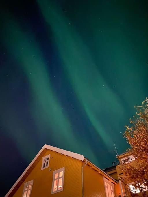 Cozy Ground Floor Apartment Tromsø Dış mekan fotoğraf