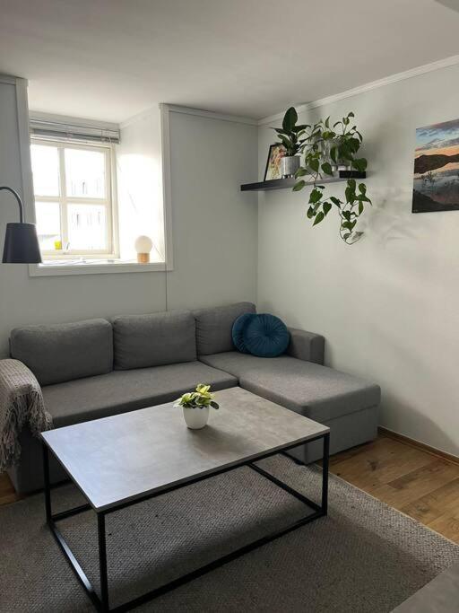 Cozy Ground Floor Apartment Tromsø Dış mekan fotoğraf