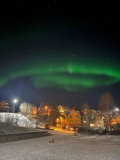 Cozy Ground Floor Apartment Tromsø Dış mekan fotoğraf