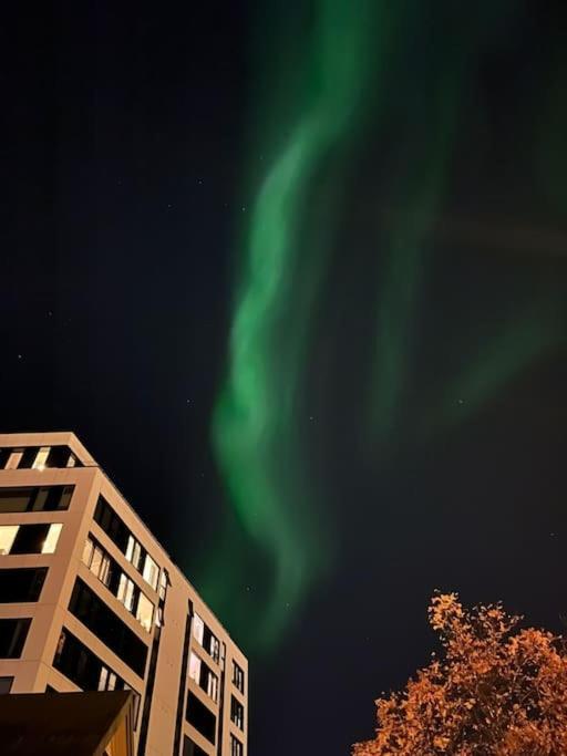 Cozy Ground Floor Apartment Tromsø Dış mekan fotoğraf